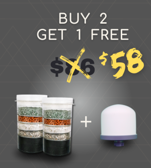 B2G1FREE